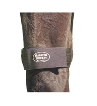 Protekta Knee Band