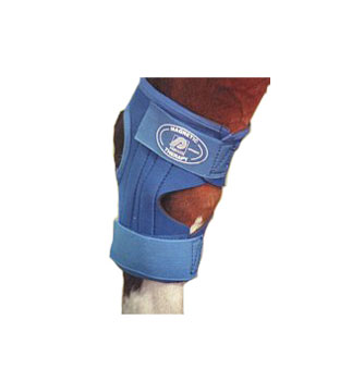 Protekta Magnetic Hock Wrap