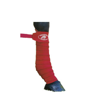 Protekta Sports Wrap, Size Standard or Large