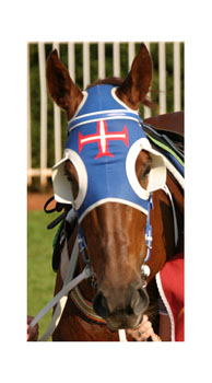 1/2 Cup Blinkers, Customized, Hyland