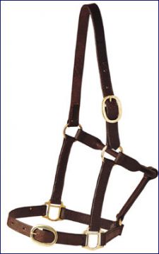 Leather, Brass Fittings