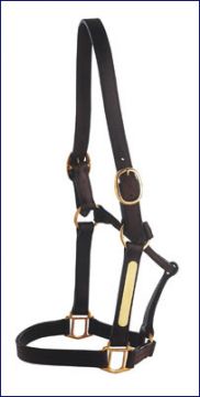 Leather, Brass Fittings with Nameplates