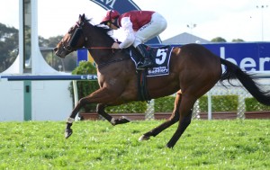 Pinwheel at the Markey Saddlery Warwick Stakes 2011