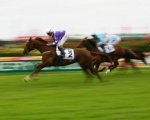 2011 Markey Saddlery Warwick Stakes