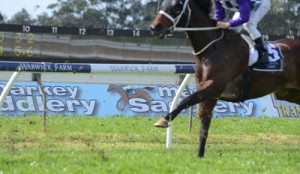 Racing at Warwick Farm