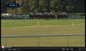 Prix de l'Arc de Triomphe 2011