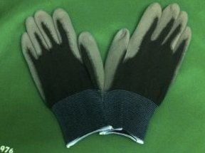 Pittari Gloves - Black