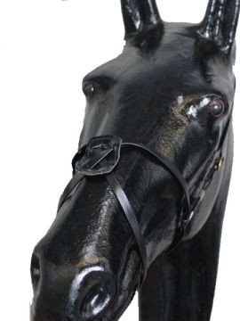 Crossover Noseband Brass Buckles (Figure 8) - Markey