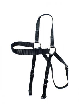 Terylene Ring Head Bridle - SS Buckles