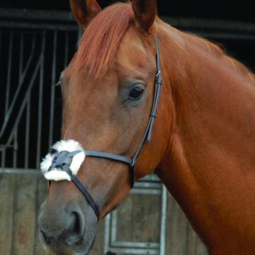 Figure 8 Noseband (Crossover), Leather, Celtic Equine