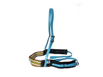 Exercise Webbing Breastplate, BioThane® trim, SS Buckles