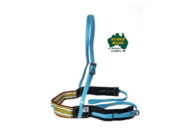 Exercise Webbing Breastplate, SS Buckles - Markey