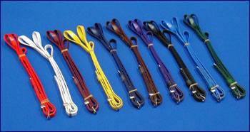 Anti Rearing Straps, 1/2