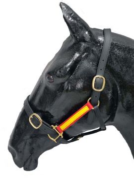 Two Tone Brass BioThane® Headstalls, Leather Lined