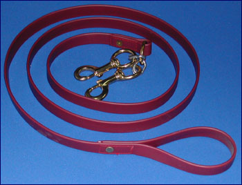 Exercise Heavy Duty BIOTHANE Brass Double Clip Lead