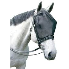 Cavallo Ride Fly Free Mask