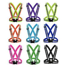 Reflective Safety Harness